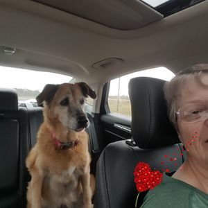 Meet your Posher, Dixie